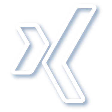 Xing Icon
